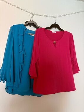 Like New! 2 Calvin Klein Blouses - Women's Tops Size 1X